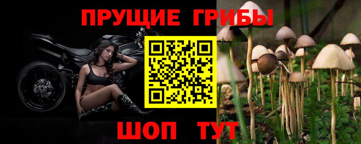 Псилоцибиновые грибы Magic Shrooms  Вход с VPN  Бузулук 
